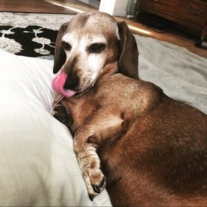 Meet your Posher, Cecilia